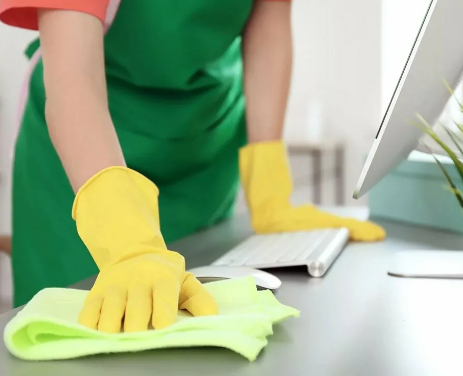 Professional cleaning team